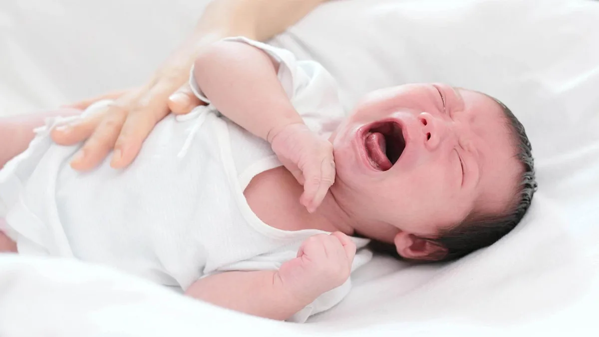 thảo dược TTTT