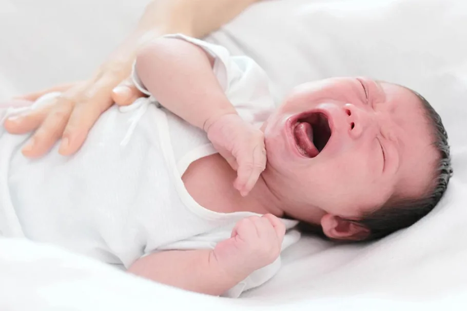 thảo dược TTTT