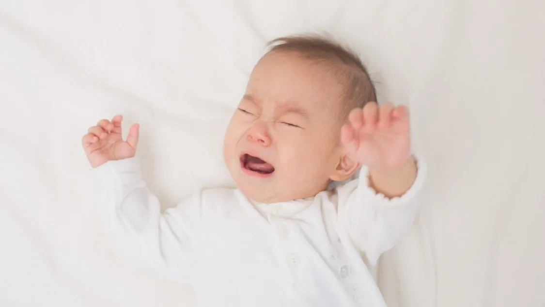 thảo dược TTTT