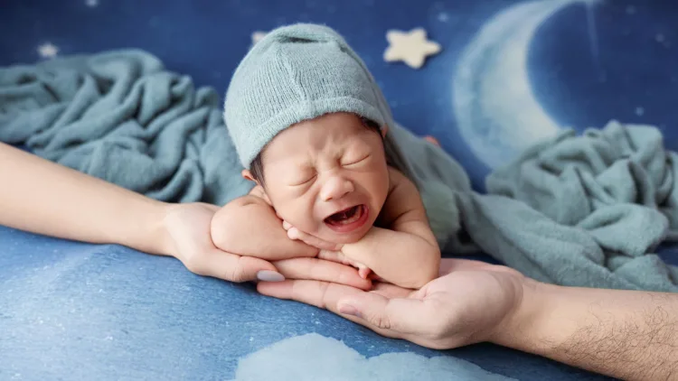 thảo dược TTTT
